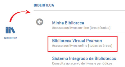 textoAlternativo